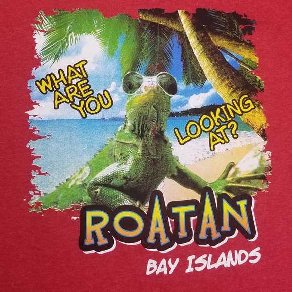 ROATAN Iguana Tropical Tee Shirt Sz S Red - Picture 1 of 4